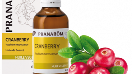 La cranberry : après ses fruits, son huile antioxydante