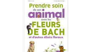 Prendre soin de son animal avec les fleurs de Bach