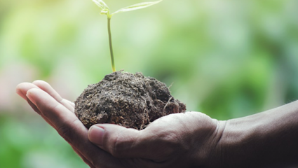 Biodiversité