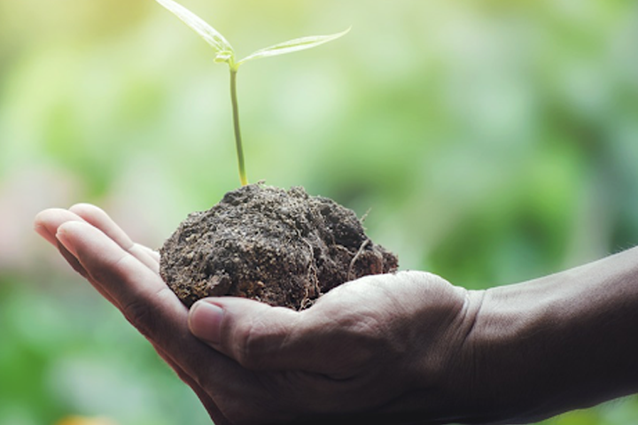 Biodiversité