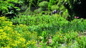 Les Jardins du Marais 