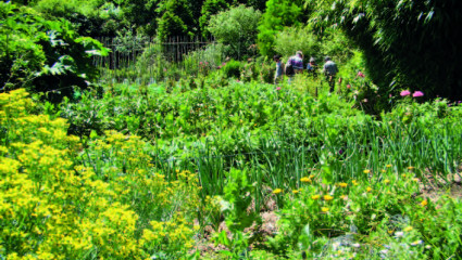 Les Jardins du Marais 