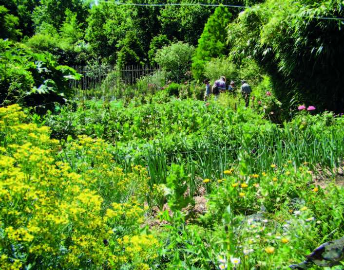 Les Jardins du Marais 