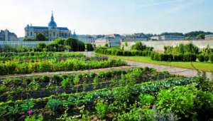 Potager du Roi à Versailles