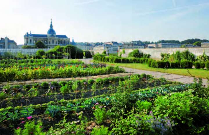 Potager du Roi à Versailles