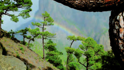 Le parc de la Caldera de Taburiente