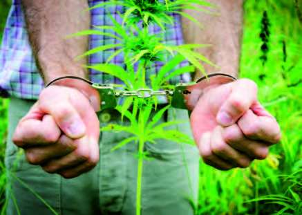 légalisation cannabis