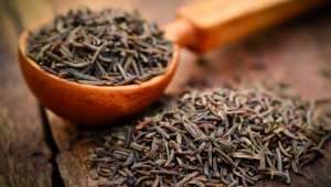 Cumin (Cuminum cyminum)