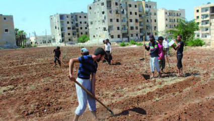 Syrie-agriculteurs