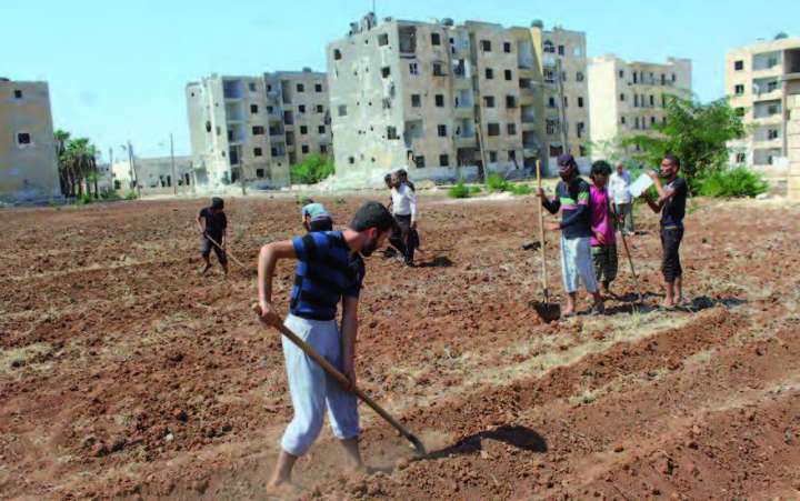 Syrie-agriculteurs