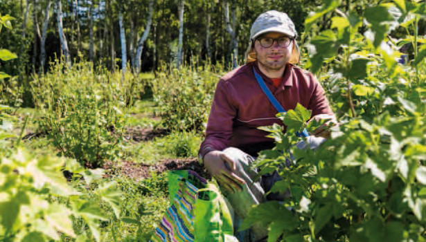 Handicap, les bienfaits <br>du travail au vert</br>