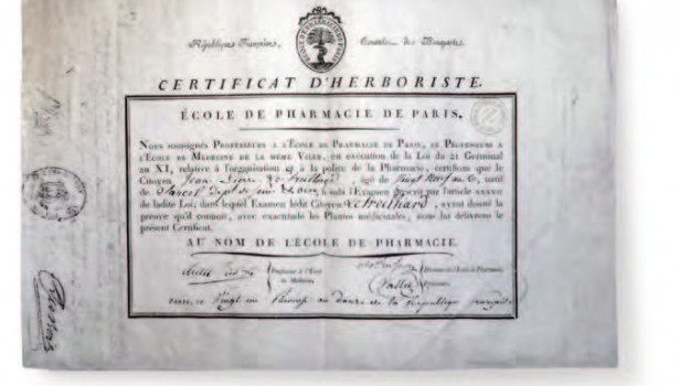 Certificat d'herboriste délivré en 1804