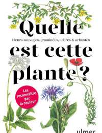 Quelle est cette plante ?