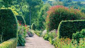 Le jardin de la Rejonière : Botanique et pierres dorées