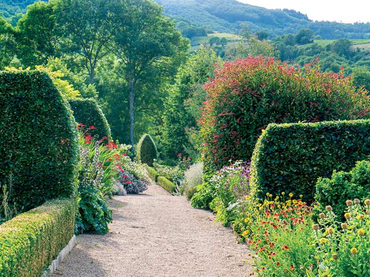 Le jardin de la Rejonière : Botanique et pierres dorées