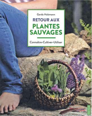 Retour aux plantes sauvages