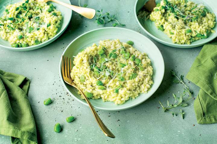 Risotto crémeux aux fèves