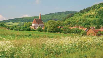 Roumanie, mystique  et magie du végétal