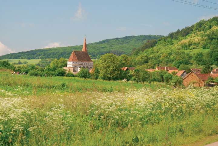 Roumanie, mystique  et magie du végétal