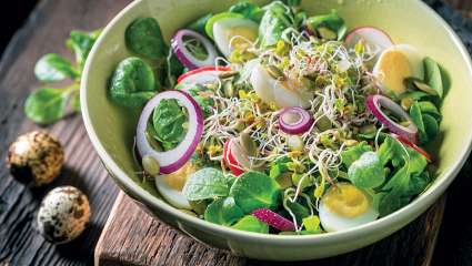 Salade fraîche aux graines germées et vinaigrette à l'orange