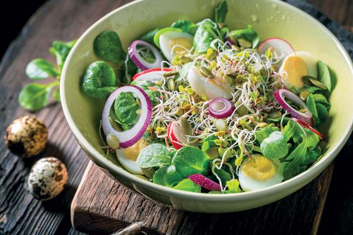 Salade fraîche aux graines germées et vinaigrette à l'orange