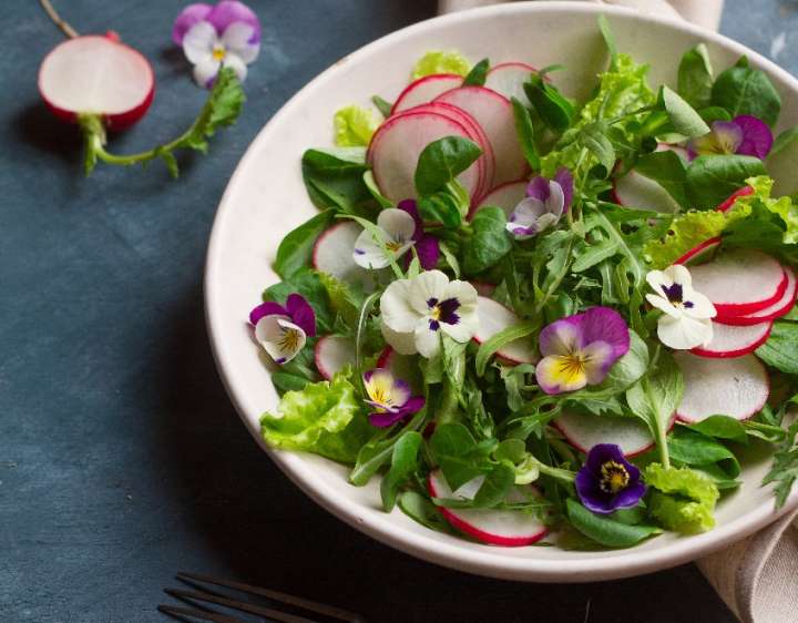 Salade de laitue et fleurs