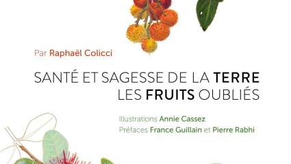 Santé et sagesse  de la terre,  les fruits oubliés