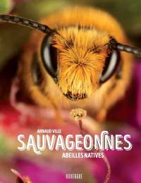 Sauvageonnes,  abeilles natives