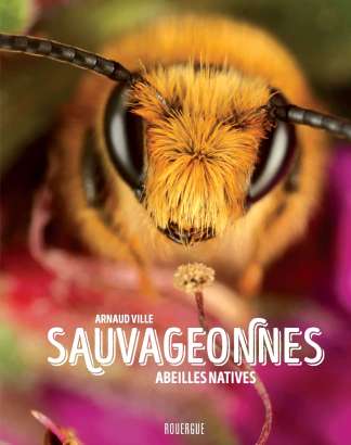 Sauvageonnes,  abeilles natives