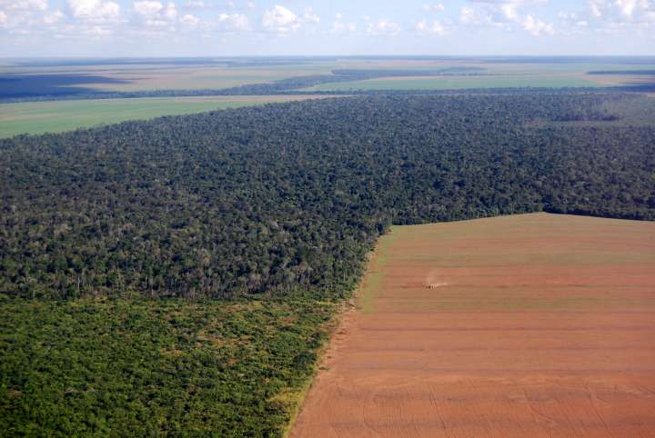 Déforestation liée au à la culture du soja