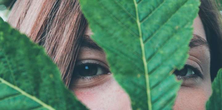 Entretenir et régénérer la peau du visage