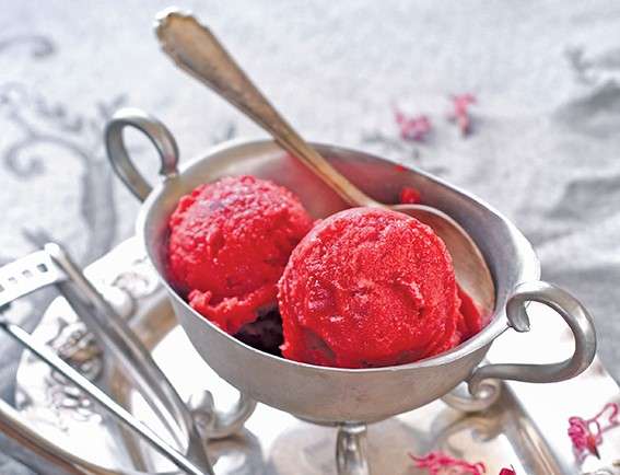 Sorbet à la rhubarbe et aux fraises