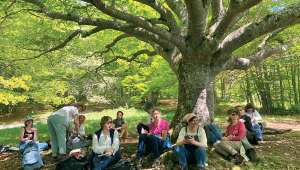 Herboristerie 2023 : des étudiants passionnés reprennent racine dans l'apprentissage des plantes