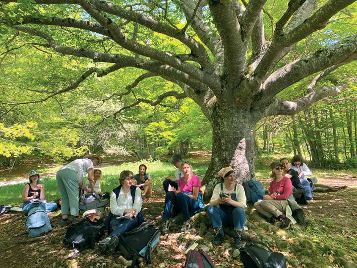 Herboristerie 2023 : des étudiants passionnés reprennent racine dans l'apprentissage des plantes