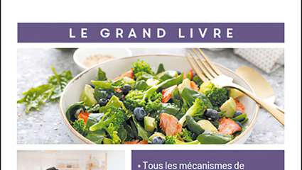 L'alimentation « spécial immunité »