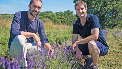 Autour des plantes - Boutique en ligne