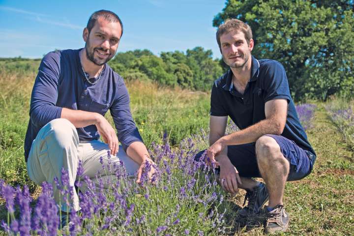 Autour des plantes - Boutique en ligne