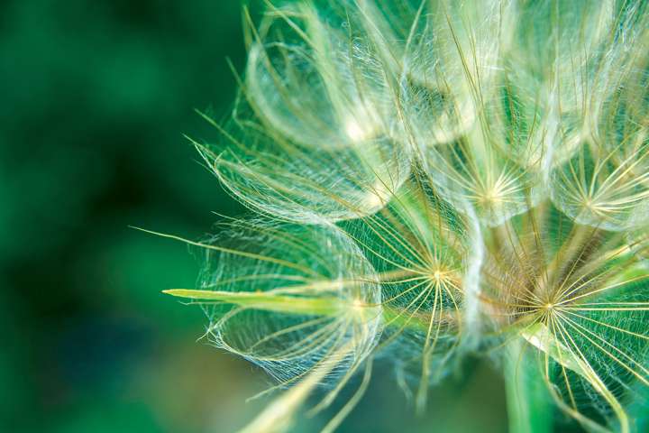 Un cerveau vif et connecté pour la vie