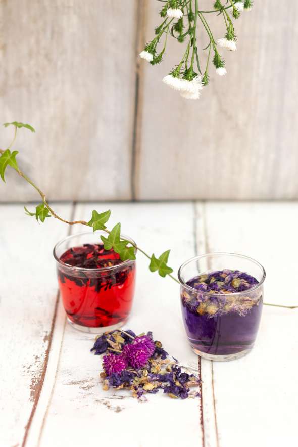 tisanes froides à l'hibiscus