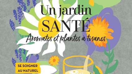 Un jardin santé Aromates et plantes à tisanes