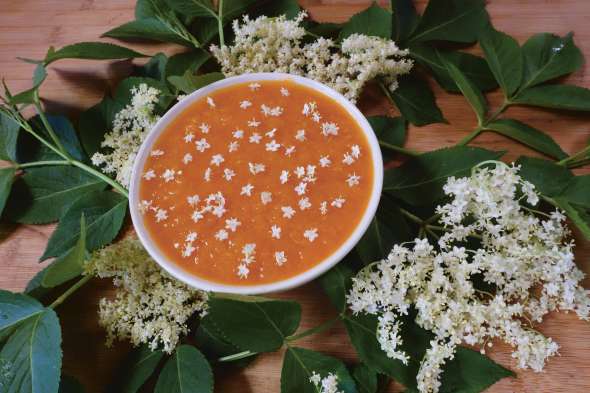 Velouté carottes et sureau