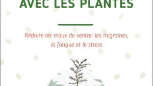 Verveine odorante : se soigner avec les plantes