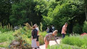 L'art de la phytosociologie  au Conservatoire botanique de Bailleul