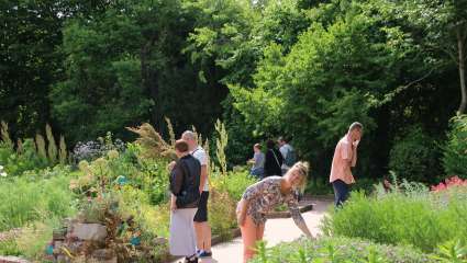 L'art de la phytosociologie  au Conservatoire botanique de Bailleul