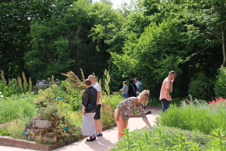 L'art de la phytosociologie  au Conservatoire botanique de Bailleul