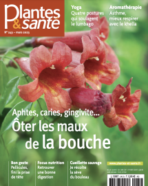 Plantes et Santé n°243 - Numérique