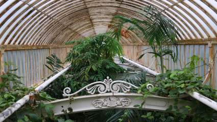 Les serres botaniques de Kew Gardens, un univers majestueux