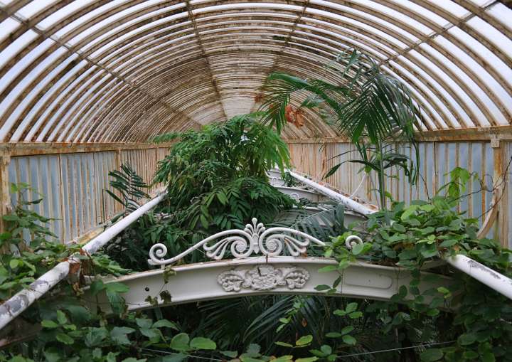 Les serres botaniques de Kew Gardens, un univers majestueux
