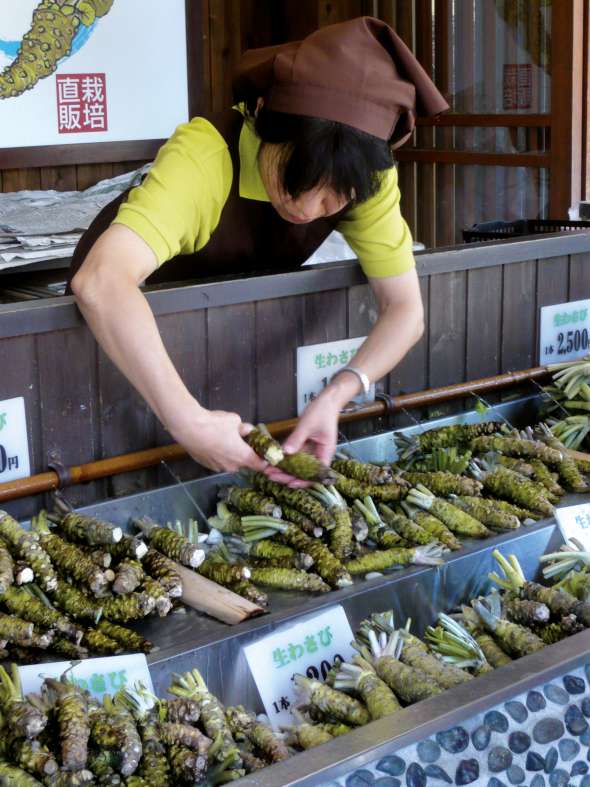 Sur la piste du wasabi- Plantes et Santé