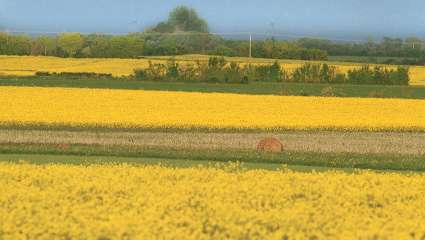 L'agroécologie, un modèle à suivre